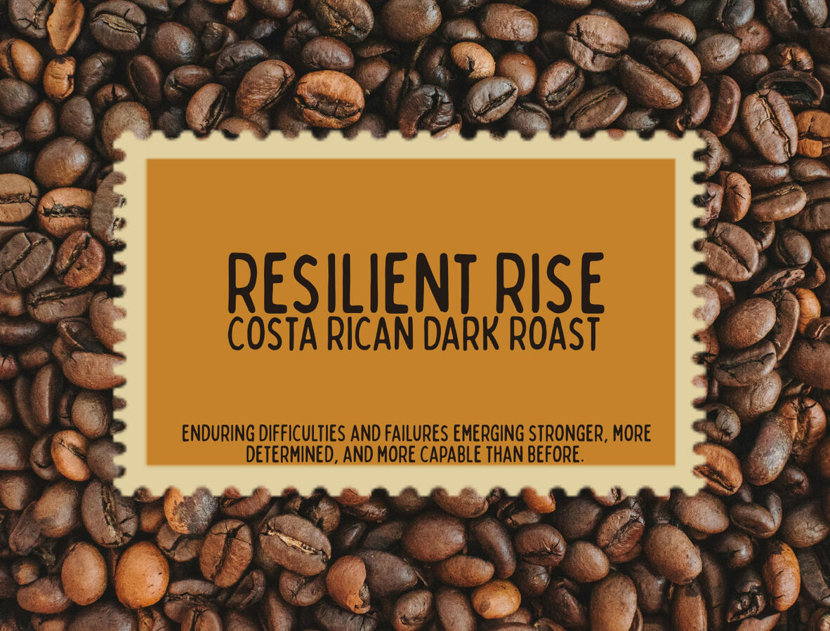 Resilient Rise Resilient Rise